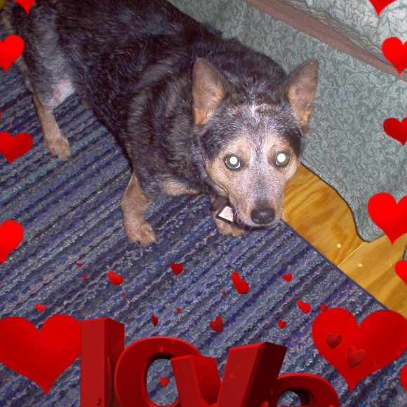 Meet your Posher, Pamela - Picture 1 of 2